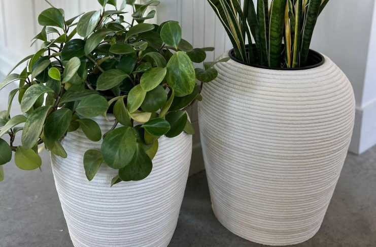 Cormor and 3DCP Muskoka create unique 3D printed home decor products for Stony Lake Furniture Co. in Lakefield Peterborough's Cormor and Bracebridge's 3DCP Muskoka have partnered to create a unique line of 3D printed products available at Stony Lake Furniture Co. in Lakefield. The founders of the two 3D printing construction companies are encouraging customers to think outside the box and challenge them on architectural design products that can be made through 3D printing. (Photo courtesy of Cormor)