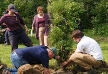 In an effort to restore the tree canopy in Peterborough damaged by recent climate events, GreenUP has planted hundreds of native trees throughout the community with the support of volunteers, including along the Trans Canada Trail in Ecology Park in June 2025. This planting project was funded in part by a grant from the Trans Canada Trail along with donations from the community. (Photo: Yvonne Hollandy / GreenUP)
