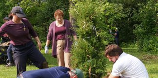 With climate impacts intensifying, GreenUP urges donations to help restore Peterborough’s tree canopy In an effort to restore the tree canopy in Peterborough damaged by recent climate events, GreenUP has planted hundreds of native trees throughout the community with the support of volunteers, including along the Trans Canada Trail in Ecology Park in June 2025. This planting project was funded in part by a grant from the Trans Canada Trail along with donations from the community. (Photo: Yvonne Hollandy / GreenUP)