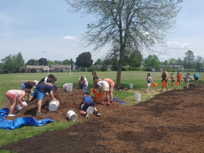 GreenUP's Little Forest program supported the planting of 924 trees across four Peterborough schools in 2025. Pictured are students at Otonabee Valley Public School preparing the soil for planting day. (Photo: Laura Keresztesi / GreenUP)