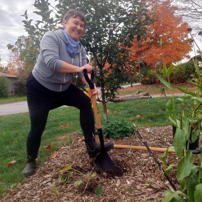 Carolyn Code, who cares for the Dominion Park Community Orchard, is seen here adding a variety of native plants at the base of the fruit trees she planted four years ago. Dominion Park is home to three apple trees, one pear tree and a garden with concord grapes, pawpaws, haskap berries, goji berries, currants, asparagus, blueberries and even horseradish. (Photo: Laura Keresztesi / GreenUP)