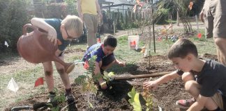 ‘Little Forests’ at Peterborough schools are growing the new generation of environmental stewards Within a one square metre block of a Little Forest, plants can be arranged randomly to mimic a natural forest setting. St. John Catholic Elementary School students are shown here placing marker flags for each tree, with the flag noting the tree species and the name of the planter. This will help students put a name to the face of the 30 different species that are planted at their school. (Photo: Laura Keresztesi / GreenUP)