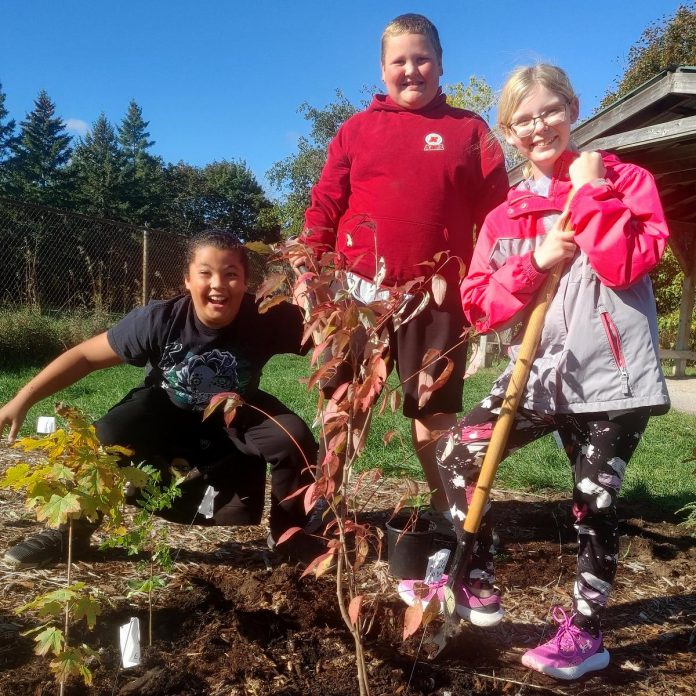 During planting days, small groups of students worked together to plant one square metre of the Little Forest. Each block was planted with three to four trees and shrubs, with at least one species from each forest layer (canopy, sub-canopy, and shrub). These Otonabee Valley Public School students were proud of the work they did to contribute to the planting effort. (Photo: Laura Keresztesi / GreenUP)