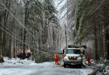 After this year's devastating ice storm, Peterborough County is asking residents to help design the county's emergency preparedness plan by participating in an online survey by December 21, 2025, with participants who complete the brief survey by December 1 having a chance to score one of five emergency car kits. (Photo: Hydro One)