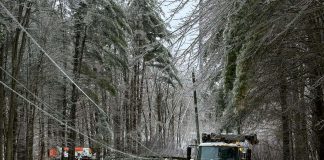 After this year's devastating ice storm, Peterborough County is asking residents to help design the county's emergency preparedness plan by participating in an online survey by December 21, 2025, with participants who complete the brief survey by December 1 having a chance to score one of five emergency car kits. (Photo: Hydro One)