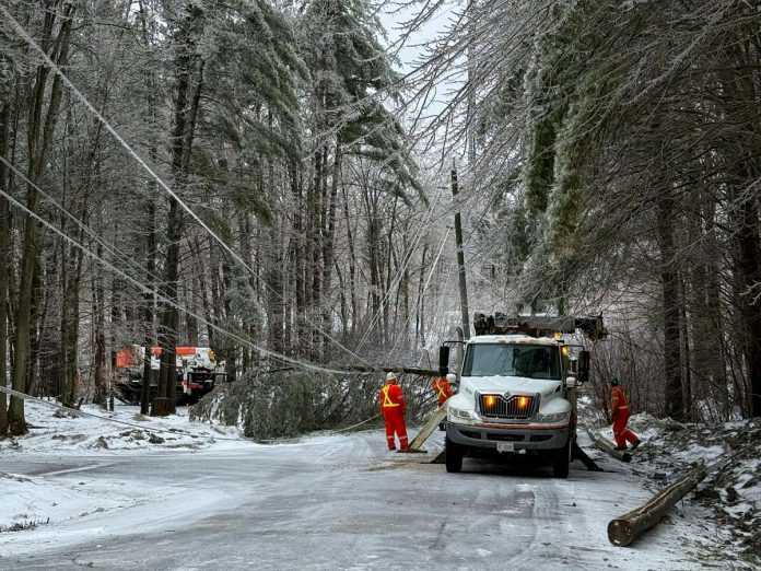 After this year's devastating ice storm, Peterborough County is asking residents to help design the county's emergency preparedness plan by participating in an online survey by December 21, 2025, with participants who complete the brief survey by December 1 having a chance to score one of five emergency car kits. (Photo: Hydro One) After this year's devastating ice storm, Peterborough County is asking residents to help design the county's emergency preparedness plan by participating in an online survey by December 21, 2025, with participants who complete the brief survey by December 1 having a chance to score one of five emergency car kits. (Photo: Hydro One)