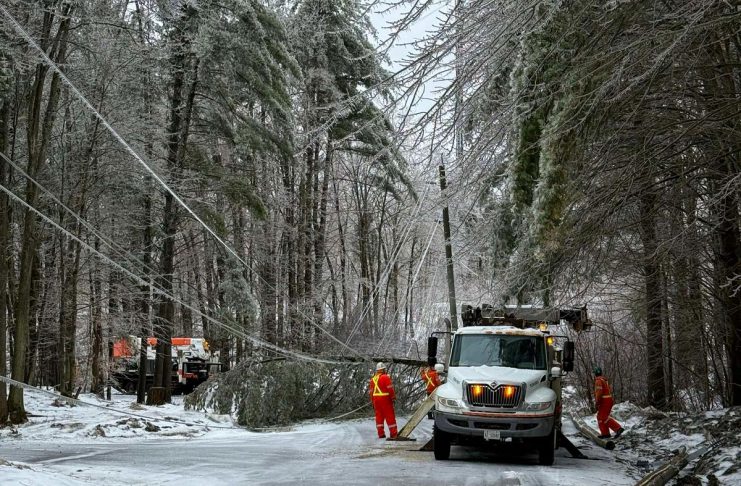 Peterborough County invites residents to help shape new emergency preparedness plan After this year's devastating ice storm, Peterborough County is asking residents to help design the county's emergency preparedness plan by participating in an online survey by December 21, 2025, with participants who complete the brief survey by December 1 having a chance to score one of five emergency car kits. (Photo: Hydro One)