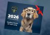 Northumberland Paramedics is selling a 2026 calendar featuring images of its therapy dog, golden retriever Ivy Joules. All proceeds from sales of the calendar will be donated to Cornerstone Family Violence Prevention Centre and the Northumberland Humane Society. (Photo: Northumberland County)
