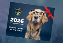 Northumberland Paramedics is selling a 2026 calendar featuring images of its therapy dog, golden retriever Ivy Joules. All proceeds from sales of the calendar will be donated to Cornerstone Family Violence Prevention Centre and the Northumberland Humane Society. (Photo: Northumberland County)