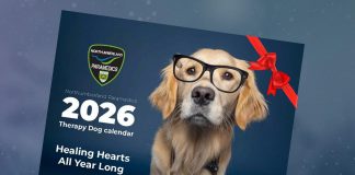 Northumberland Paramedics is selling a 2026 calendar featuring images of its therapy dog, golden retriever Ivy Joules. All proceeds from sales of the calendar will be donated to Cornerstone Family Violence Prevention Centre and the Northumberland Humane Society. (Photo: Northumberland County)