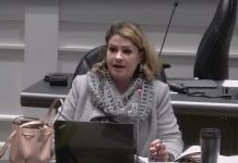 Clarington councillor Corinna Traill speaks during a regular council meeting on November 17, 2025. (kawarthaNOW screenshot of Municipality of Clarington video)