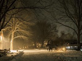 A horse-drawn wagon ride through Lang Pioneer Village Museum in Keene is one of the many activities available during the family-friendly "Christmas by Candlelight" event taking place from 4 to 8 p.m. on December 6 and 7, 2025. (Photo: Heather Doughty Photography)