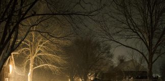 A horse-drawn wagon ride through Lang Pioneer Village Museum in Keene is one of the many activities available during the family-friendly "Christmas by Candlelight" event taking place from 4 to 8 p.m. on December 6 and 7, 2025. (Photo: Heather Doughty Photography)