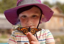 Camp Kawartha’s youth stewardship program earns global recognition from United Nations University Camp Kawartha's Pathway to Stewardship and Kinship program, which uses 30 "landmark" experiences to guide children and youth's development in nature, community, and belonging as they grow from early childhood through the end of high school, has received an Outstanding Flagship Project Award from the United Nations University's Institute for the Advanced Study of Sustainability. (Photo courtesy of Camp Kawartha)