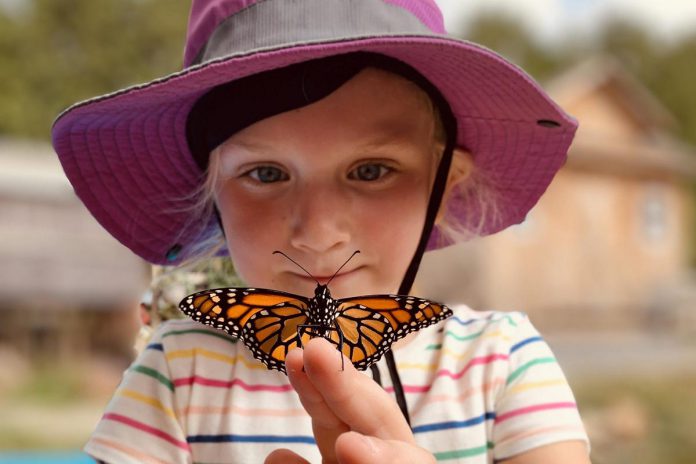 Camp Kawartha's Pathway to Stewardship and Kinship program, which uses 30 "landmark" experiences to guide children and youth's development in nature, community, and belonging as they grow from early childhood through the end of high school, has received an Outstanding Flagship Project Award from the United Nations University's Institute for the Advanced Study of Sustainability. (Photo courtesy of Camp Kawartha) Camp Kawartha's Pathway to Stewardship and Kinship program, which uses 30 "landmark" experiences to guide children and youth's development in nature, community, and belonging as they grow from early childhood through the end of high school, has received an Outstanding Flagship Project Award from the United Nations University's Institute for the Advanced Study of Sustainability. (Photo courtesy of Camp Kawartha)
