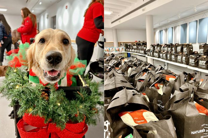 The Peterborough Humane Society and its partners hosted a community pet pantry distribution event at the Peterborough Public Library on December 12, 2025 to help families who are financially struggling to care for their pets. (Photos: Peterborough Humane Society) The Peterborough Humane Society and its partners hosted a community pet pantry distribution event at the Peterborough Public Library on December 12, 2025 to help families who are financially struggling to care for their pets. (Photos: Peterborough Humane Society)