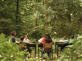 A 2024 documentary film by Australian filmmaker Damon Gameau, "Future Council" follows eight children who embark on an adventure across Europe in a biofuel-powered school bus and form a "Future Council" to advise major companies on decisions impacting nature. ReFrame Film Festival presents "Future Council" at 12:30 p.m. on January 31, 2026 at Showplace Performance Centre in downtown Peterborough. (Photo courtesy of ReFrame Film Festival)