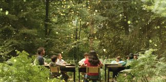 Powerful documentary about child-led movement for environmental justice screening at ReFrame Film Festival A 2024 documentary film by Australian filmmaker Damon Gameau, "Future Council" follows eight children who embark on an adventure across Europe in a biofuel-powered school bus and form a "Future Council" to advise major companies on decisions impacting nature. ReFrame Film Festival presents "Future Council" at 12:30 p.m. on January 31, 2026 at Showplace Performance Centre in downtown Peterborough. (Photo courtesy of ReFrame Film Festival)