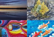 Artworks by a number of artists from across the Kawarthas region will be on display during the annual "Art à la Carte: Celebrating Ontario Artists" exhibition in the In Camera Dining Room at the Legislative Building in 2026, including (clockwise from top left) Michael Harris's photograph "Tranquility at Sunrise," Diane Dowsett's painting "Autumn Comes Early in Yellowknife," Astrid Hood's painting "Radiant Reflections," and Lynda Todd's painting "Salmon, Salmon, Salmon." (kawarthaNOW collage of artist photos)