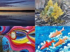 Artworks by a number of artists from across the Kawarthas region will be on display during the annual "Art à la Carte: Celebrating Ontario Artists" exhibition in the In Camera Dining Room at the Legislative Building in 2026, including (clockwise from top left) Michael Harris's photograph "Tranquility at Sunrise," Diane Dowsett's painting "Autumn Comes Early in Yellowknife," Astrid Hood's painting "Radiant Reflections," and Lynda Todd's painting "Salmon, Salmon, Salmon." (kawarthaNOW collage of artist photos)