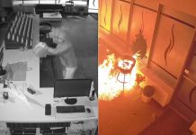 An arsonist spreads gasoline around DashVapes in Mapleridge Plaza at 1840 Lansdowne Street West in Peterborough in the early morning hours of February 5, 2026 before exiting through a broken storefront window and setting the gasoline on fire. (kawarthaNOW screenshots of Facebook video)