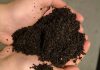 Also known as vermicomposting, worm composting transforms food waste into "black gold," a rich natural fertilizer that helps improve soil structure, increase water retention, and provide slow-release nutrients to optimize plant growth. (Photo: Callie Downer / Our Little Wormery)