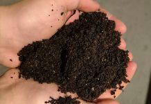 Also known as vermicomposting, worm composting transforms food waste into "black gold," a rich natural fertilizer that helps improve soil structure, increase water retention, and provide slow-release nutrients to optimize plant growth. (Photo: Callie Downer / Our Little Wormery)