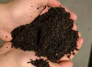 Also known as vermicomposting, worm composting transforms food waste into "black gold," a rich natural fertilizer that helps improve soil structure, increase water retention, and provide slow-release nutrients to optimize plant growth. (Photo: Callie Downer / Our Little Wormery)