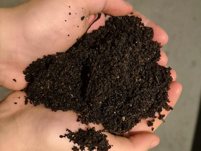 Also known as vermicomposting, worm composting transforms food waste into "black gold," a rich natural fertilizer that helps improve soil structure, increase water retention, and provide slow-release nutrients to optimize plant growth. (Photo: Callie Downer / Our Little Wormery)
