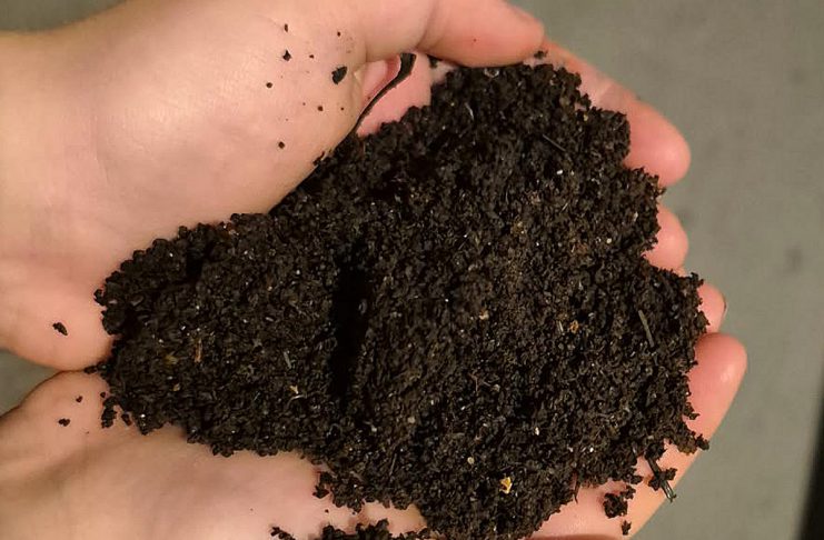 Also known as vermicomposting, worm composting transforms food waste into "black gold," a rich natural fertilizer that helps improve soil structure, increase water retention, and provide slow-release nutrients to optimize plant growth. (Photo: Callie Downer / Our Little Wormery)