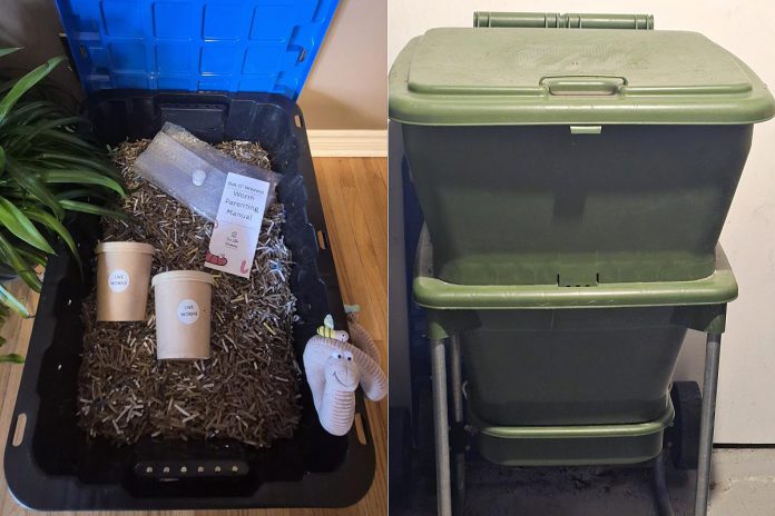 From a simple worm bin (left) to the Hungry Bin (right), vermicomposting systems can fit a wide range of spaces, budgets and food-waste needs. (Photo: Callie Downer / Our Little Wormery)