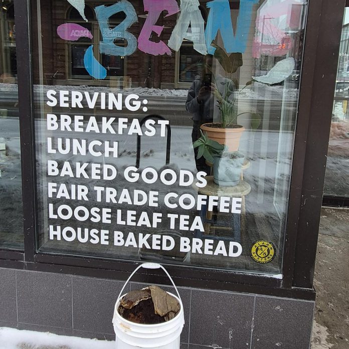 Our Little Wormery collects spent coffee grounds from Dreams of Beans in downtown Peterborough each week, diverting 20 kilograms of food waste from landfill and transforming them into nutrient-rich worm castings instead of greenhouse gases. (Photo: Callie Downer / Our Little Wormery)