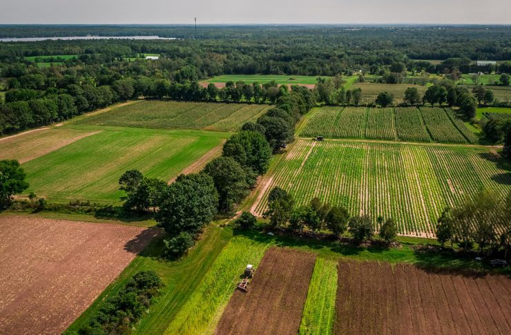 Located in Selwyn Township, McLean Berry Farm is one of more than 800 farms operating on more than 180,000 acres of farmland across Peterborough County. To support the farms that significantly contribute to the region's economic prosperity, Peterborough County Economic Development is supporting and promotes initiatives like the Kawartha Local Food Wholesale program, which makes it easy for food buyers to purchase wholesale from local producers. (Photo: Peterborough County Economic Development)