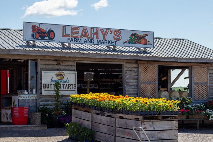 A popular stop for both locals and visitors, Leahy's Farm and Market is located on Highway 28 in Douro-Dummer Township south of Lakefield. Farmers often face time and financial challenges that can limit their ability to expand beyond farm gates and farmers' markets. For that reason, Peterborough County is supporting initiatives like the Kawartha Local Food Wholesale and Kawartha Choice FarmFresh initiatives that make it easier for local producers to connect with wholesale buyers and consumers. (Photo: Peterborough County Economic Development)