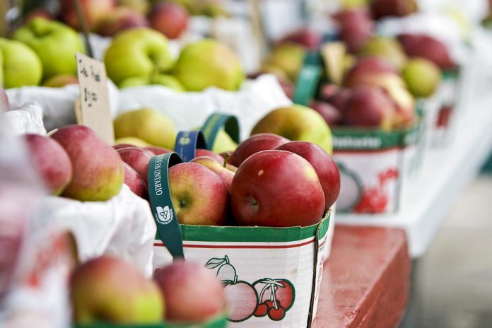 Peterborough County and the City of Kawartha Lakes are seeking participants for the Kawartha Local Food Wholesale program, which helps wholesale buyers connect with local producers. Early phases of the project saw producers and buyers participating in group training and one-on-one mentorship to better understand wholesale production and purchasing possibilities, followed by the development of the Green Circle food hub in partnership with Graze & Gather. (Photo: Peterborough County Economic Development)