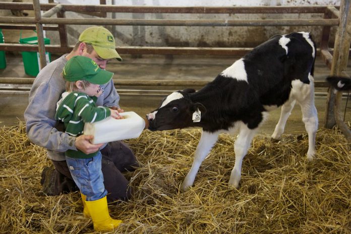 Beyond connecting local food producers with local buyers, Peterborough County is also supporting agritourism projects that are ideal for farms seeking additional sources of revenue. These opportunities include farm-to-table dining experiences, immersive on-farm experiences, educational experiences, and more. (Photo: Peterborough County Economic Development)