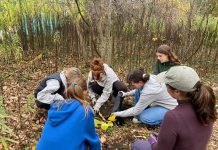 Students in the 2025 cohort of the Kawartha Pine Ridge District School Board's Youth Leadership in Sustainability (YLS) program plant native pawpaw trees in Peterborough's Ecology Park with the help of GreenUP. Applications are now open for the fall 2026 class of the one-semester four-credit program which helps high school students learn about being a leader for sustainability through experiential learning opportunities and field trips led by local community organizations. (Photo courtesy of YLS)