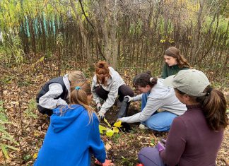 Students in the 2025 cohort of the Kawartha Pine Ridge District School Board's Youth Leadership in Sustainability (YLS) program plant native pawpaw trees in Peterborough's Ecology Park with the help of GreenUP. Applications are now open for the fall 2026 class of the one-semester four-credit program which helps high school students learn about being a leader for sustainability through experiential learning opportunities and field trips led by local community organizations. (Photo courtesy of YLS)
