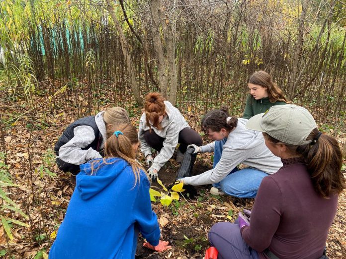 Students in the 2025 cohort of the Kawartha Pine Ridge District School Board's Youth Leadership in Sustainability (YLS) program plant native pawpaw trees in Peterborough's Ecology Park with the help of GreenUP. Applications are now open for the fall 2026 class of the one-semester four-credit program which helps high school students learn about being a leader for sustainability through experiential learning opportunities and field trips led by local community organizations. (Photo courtesy of YLS)