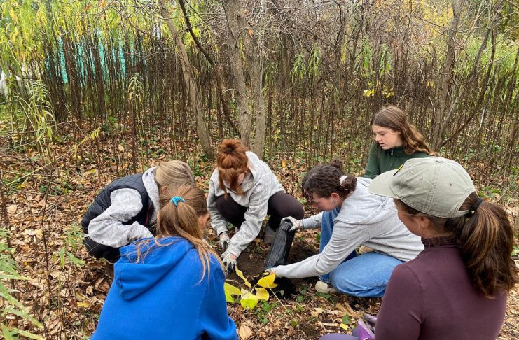 Students in the 2025 cohort of the Kawartha Pine Ridge District School Board's Youth Leadership in Sustainability (YLS) program plant native pawpaw trees in Peterborough's Ecology Park with the help of GreenUP. Applications are now open for the fall 2026 class of the one-semester four-credit program which helps high school students learn about being a leader for sustainability through experiential learning opportunities and field trips led by local community organizations. (Photo courtesy of YLS)