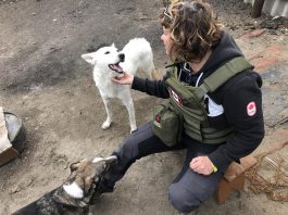 Peterborough native Chloë Black meets two dogs during a stint with Ukrainian Patriot in early 2023, when she helped deliver humanitarian aid packages to frontline soldiers and civilians in Ukraine. Her volunteer work in Ukraine followed a trip to Romainia in April 2022 when she volunteered with a group building a shelter for 800 animals displaced by the Russian invasion of Ukraine. (Photo courtesy of Chloë Black)