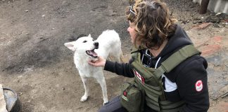 ‘Blues for Ukraine’ fundraiser aims to help Peterborough native Chloë Black’s humanitarian work in war-ravaged country Peterborough native Chloë Black meets two dogs during a stint with Ukrainian Patriot in early 2023, when she helped deliver humanitarian aid packages to frontline soldiers and civilians in Ukraine. Her volunteer work in Ukraine followed a trip to Romainia in April 2022 when she volunteered with a group building a shelter for 800 animals displaced by the Russian invasion of Ukraine. (Photo courtesy of Chloë Black)