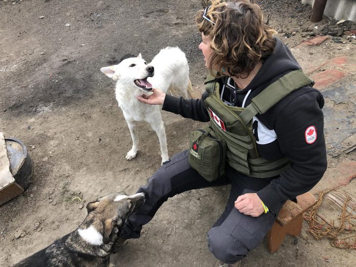 Peterborough native Chloë Black meets two dogs during a stint with Ukrainian Patriot in early 2023, when she helped deliver humanitarian aid packages to frontline soldiers and civilians in Ukraine. Her volunteer work in Ukraine followed a trip to Romainia in April 2022 when she volunteered with a group building a shelter for 800 animals displaced by the Russian invasion of Ukraine. (Photo courtesy of Chloë Black) Peterborough native Chloë Black meets two dogs during a stint with Ukrainian Patriot in early 2023, when she helped deliver humanitarian aid packages to frontline soldiers and civilians in Ukraine. Her volunteer work in Ukraine followed a trip to Romainia in April 2022 when she volunteered with a group building a shelter for 800 animals displaced by the Russian invasion of Ukraine. (Photo courtesy of Chloë Black)