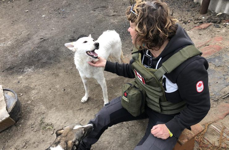 Peterborough native Chloë Black meets two dogs during a stint with Ukrainian Patriot in early 2023, when she helped deliver humanitarian aid packages to frontline soldiers and civilians in Ukraine. Her volunteer work in Ukraine followed a trip to Romainia in April 2022 when she volunteered with a group building a shelter for 800 animals displaced by the Russian invasion of Ukraine. (Photo courtesy of Chloë Black)