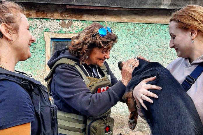 Peterborough native Chloë Black at an animal shelter in Myrnohrad, Ukraine, which has since been evacuated as Russian forces advance. Watching online videos of everyday people having to evacuate animals from shelters after Russia invaded Ukraine in 2022 inspired Black to help rescue and house animals before volunteering with Ukrainian Patriot, where she helped deliver humanitarian aid packages to frontline soldiers and civilians living with the constant threat of shelling. (Photo courtesy of Chloë Black)