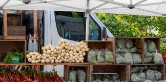The Local Advantage with Peterborough County: Farms at Work grows future farming potential with local support Farms at Work, a non-profit organization based in the Peterborough region, supports agricultural growth by providing education and hands-on support to new and existing farmers and keeping farmland in production. Peterborough County is supporting Farms at Work as it develops a community farm in Otonabee-South Monaghan that will offer shared infrastructure, mentorship, and opportunities for hands-on learning, and also continues to support agricultural growth in the region through the Kawartha Local Food Wholesale program and the Kawartha Choice FarmFresh initiative. (Photo courtesy of Peterborough County)