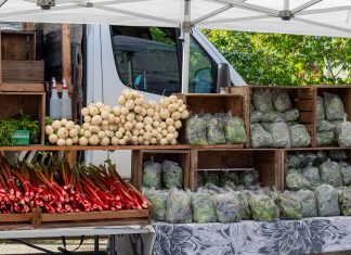 Farms at Work, a non-profit organization based in the Peterborough region, supports agricultural growth by providing education and hands-on support to new and existing farmers and keeping farmland in production. Peterborough County is supporting Farms at Work as it develops a community farm in Otonabee-South Monaghan that will offer shared infrastructure, mentorship, and opportunities for hands-on learning, and also continues to support agricultural growth in the region through the Kawartha Local Food Wholesale program and the Kawartha Choice FarmFresh initiative. (Photo courtesy of Peterborough County)