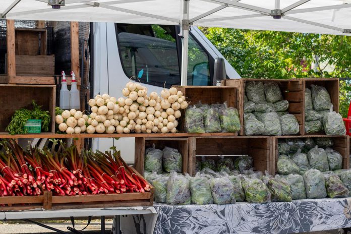 Farms at Work, a non-profit organization based in the Peterborough region, supports agricultural growth by providing education and hands-on support to new and existing farmers and keeping farmland in production. Peterborough County is supporting Farms at Work as it develops a community farm in Otonabee-South Monaghan that will offer shared infrastructure, mentorship, and opportunities for hands-on learning, and also continues to support agricultural growth in the region through the Kawartha Local Food Wholesale program and the Kawartha Choice FarmFresh initiative. (Photo courtesy of Peterborough County)