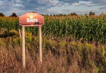 Located in central Peterborough County along the Trent-Severn Waterway and with a population of around 7,600, the Township of Douro-Dummer features farmland, lakes, and diverse landscapes including drumlins and the Warsaw Caves. (Photo: Peterborough County)