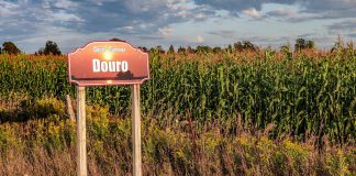 Located in central Peterborough County along the Trent-Severn Waterway and with a population of around 7,600, the Township of Douro-Dummer features farmland, lakes, and diverse landscapes including drumlins and the Warsaw Caves. (Photo: Peterborough County)